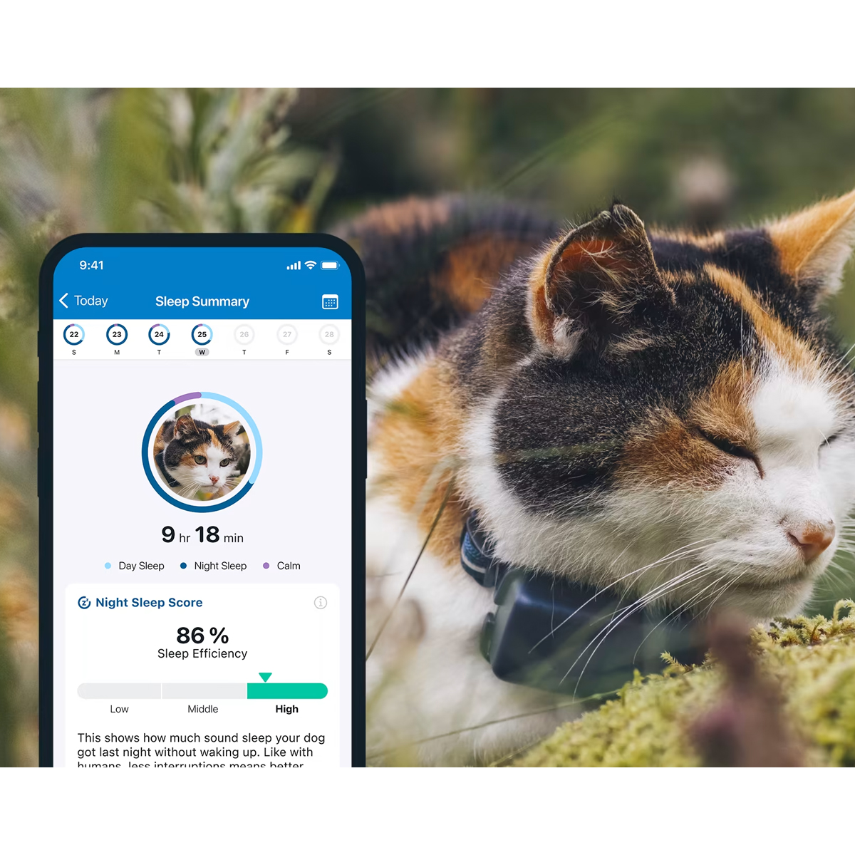 GPSTracker für Katzen oder Hunde Tractive GPS LTE