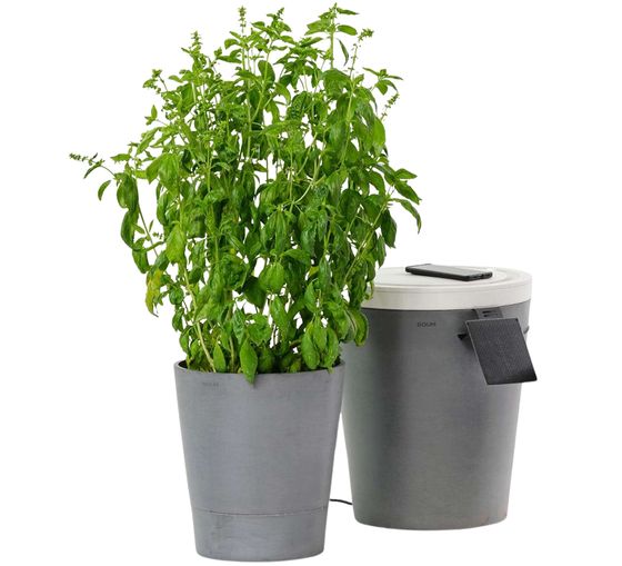 Hauptbild