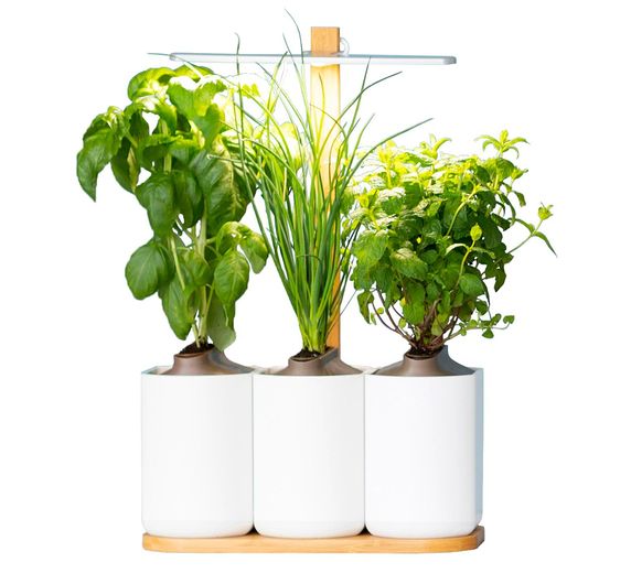Smarter Indoor-Garten