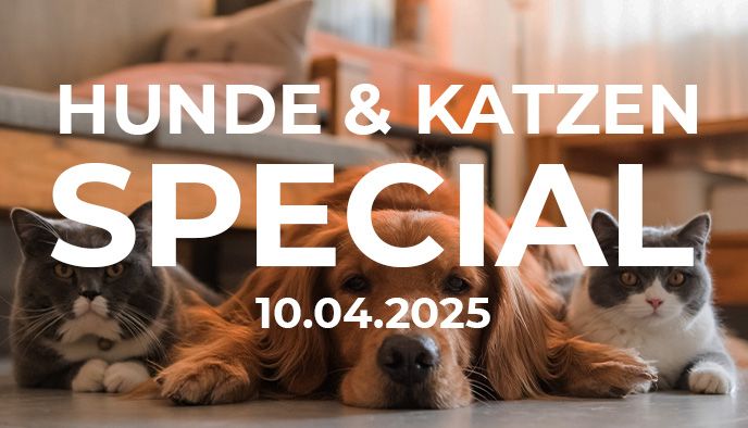 Hunde & Katzen-Special bei DayDeal.ch