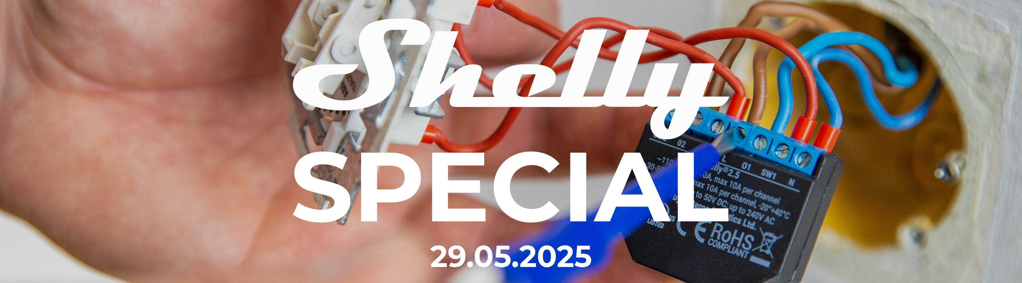 Shelly-Special bei DayDeal.ch 2025