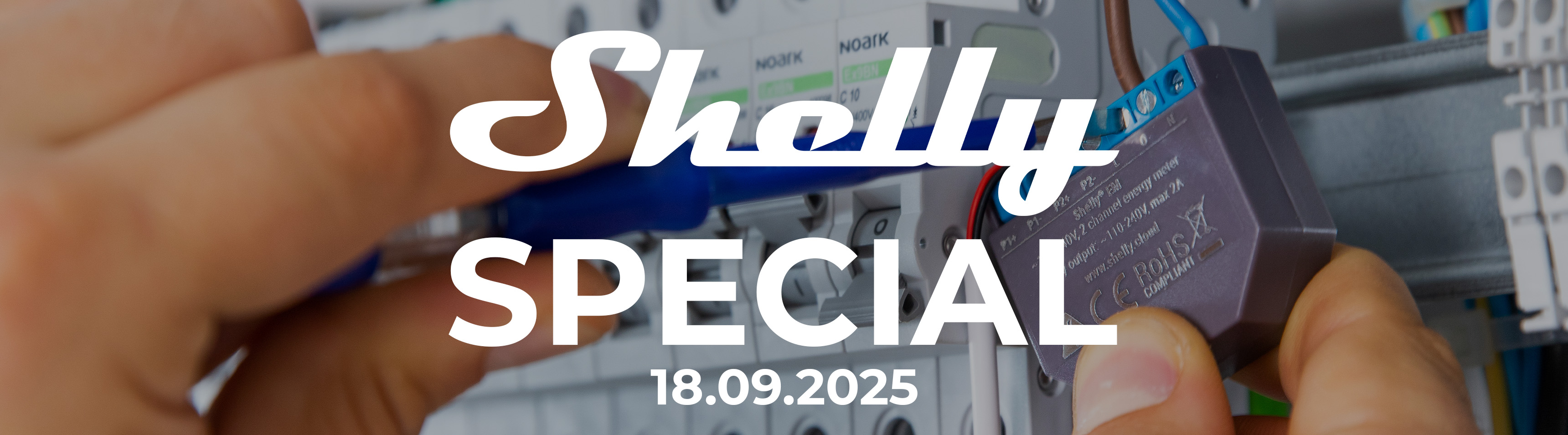 Shelly-Special bei DayDeal.ch