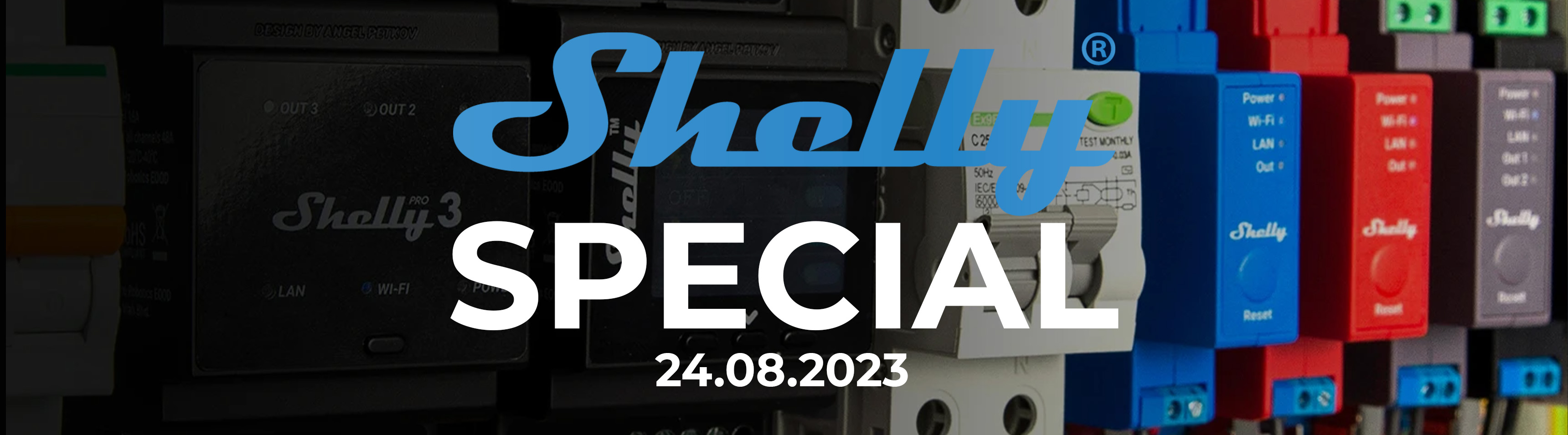 Shelly-Special 2023