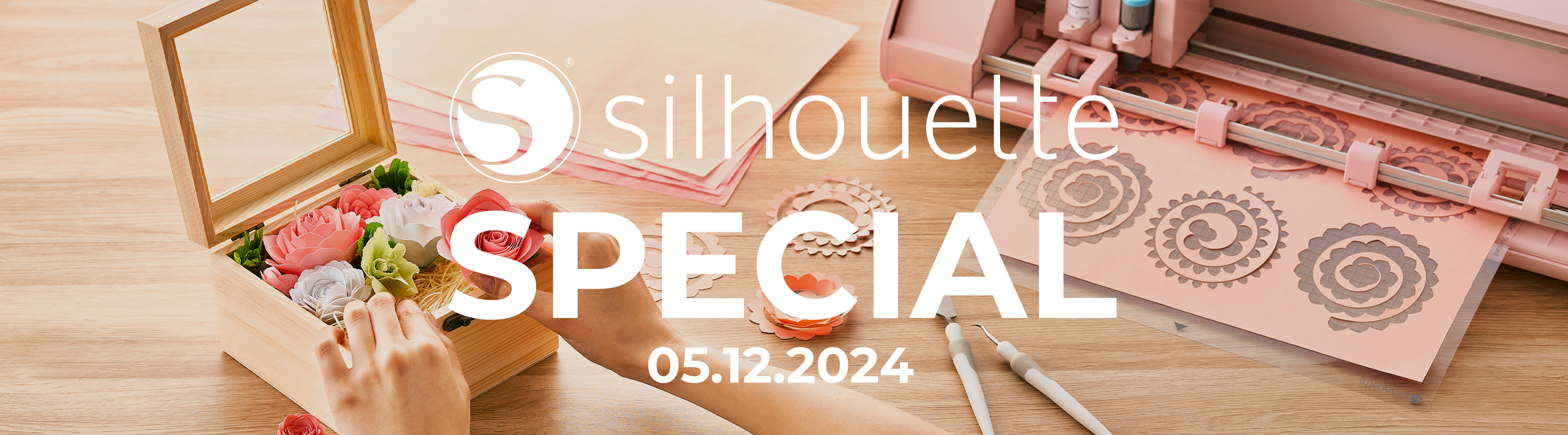 Silhouette-Special bei DayDeal.ch