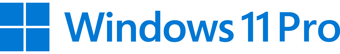Windows 11